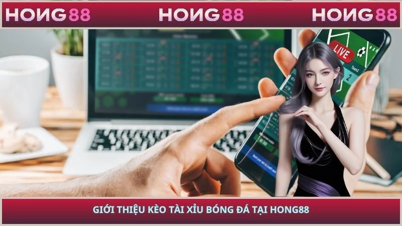 Giới thiệu kèo tài xỉu bóng đá tại HONG88