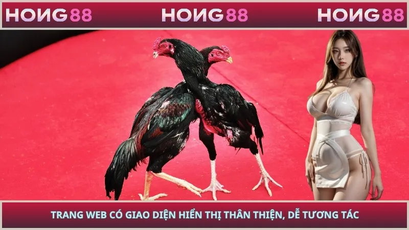 Trang web có giao diện hiển thị thân thiện, dễ tương tác